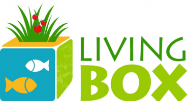 Hydroponic home box grows fresh food at home on water