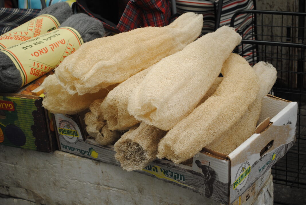 loofah-sponges-israel