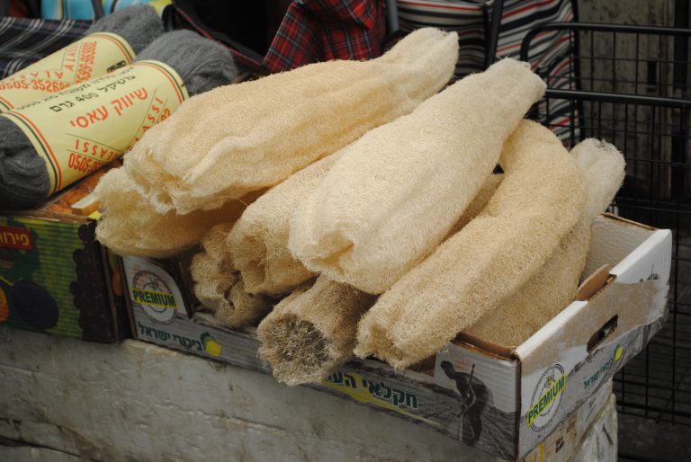 Luffa Sponges, Nature’s Bath Scrub