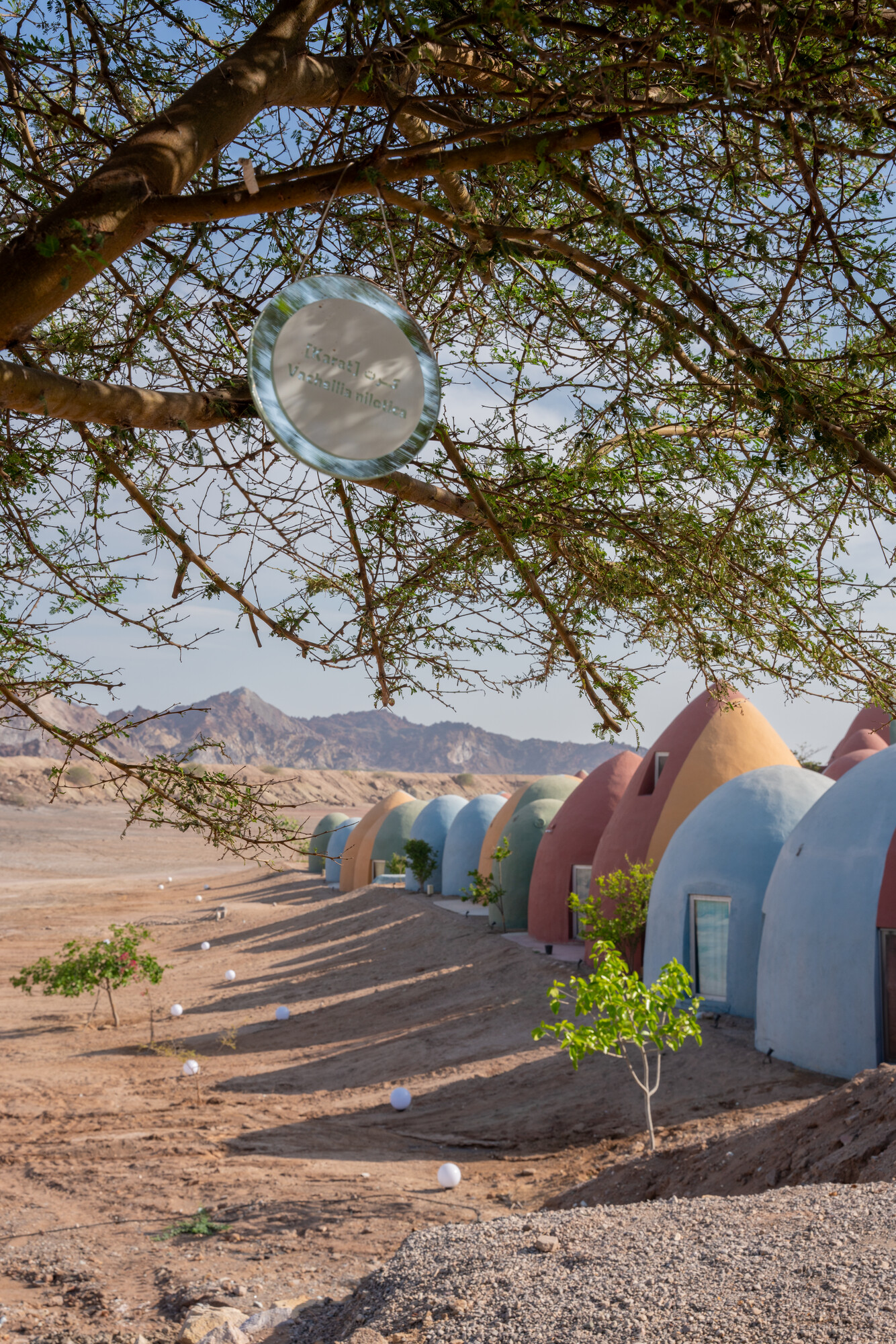 Hormuz Island, Majara Residence, ZAV Architects, sustainable architecture Iran, Hormuz eco tourism, Aga Khan Award architecture, Superadobe construction, Nader Khalili, earth architecture, desert architecture, Persian Gulf island, eco resort Iran, sustainable tourism Hormuz, coastal development Iran, turtle nesting beach Hormuz, hawksbill turtle Iran, green turtle Persian Gulf, marine conservation Iran, biodiversity Hormuz Island, wildlife mapping tourism, ecological design architecture, climate responsive design, off grid architecture, local materials construction, community based tourism Iran, cultural tourism Hormuz, Iranian architecture innovation, sustainable building materials, natural building techniques, coastal ecosystem Iran, environmental impact architecture, regenerative tourism, island conservation, soil composition beach, coastal geomorphology Hormuz, Persian Gulf ecology, NGO conservation Iran, participatory conservation, invasive species removal, Prosopis juliflora Iran, native reforestation, mangrove ecology Gulf, sustainable wastewater treatment, composting systems eco resort, circular economy tourism, low impact development, resilient architecture, autonomous eco systems design, marine habitat protection, sustainable infrastructure Middle East, eco architecture photography, architecture detail Superadobe, construction techniques earth dome