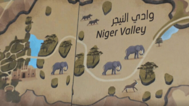 elephants sharjah zoo