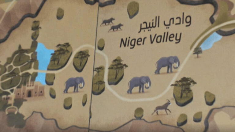 Smuggled African elephants at Abu Dhabi Zoo