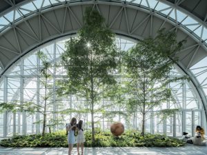 Moshe Safdie’s skywalk garden puts nature in China’s sky (VIDEO)