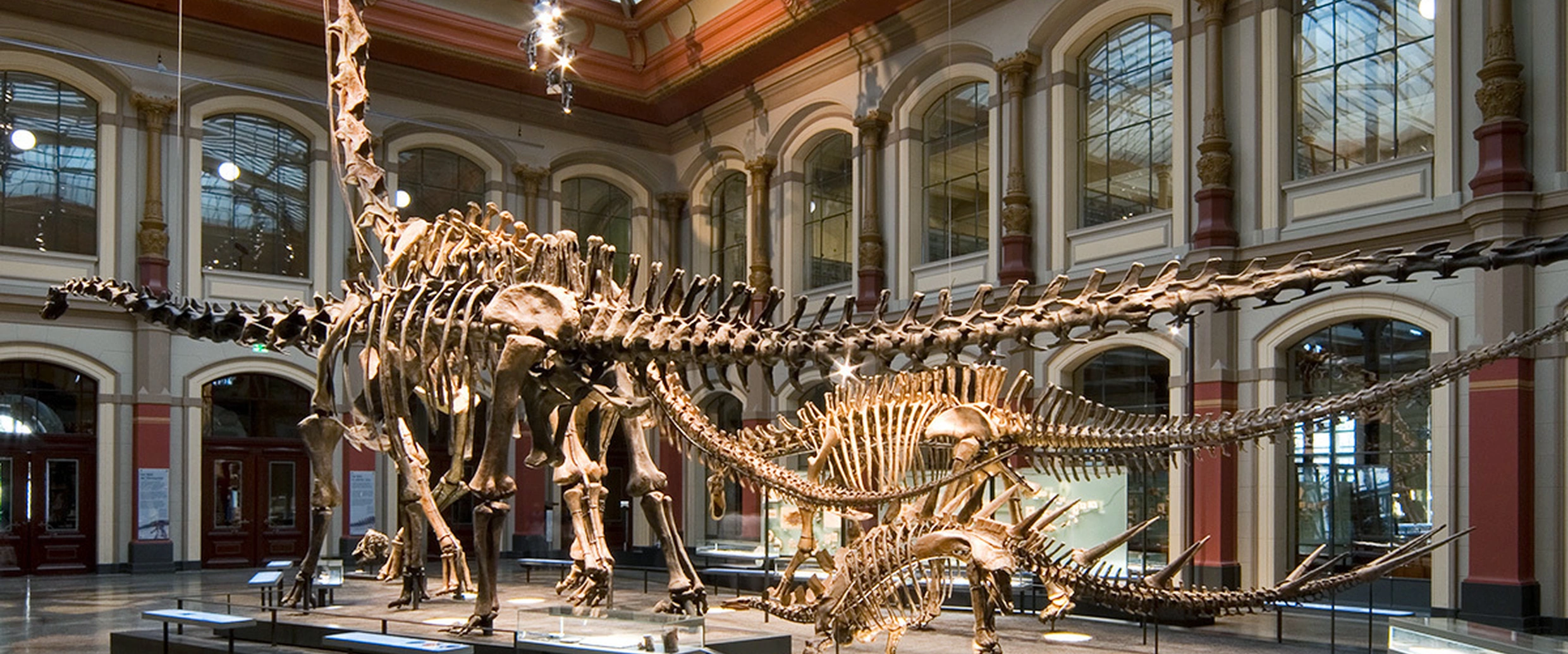 Museum für Naturkunde Berlin