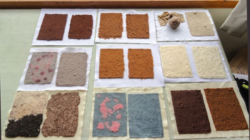 How to make mushroom paper