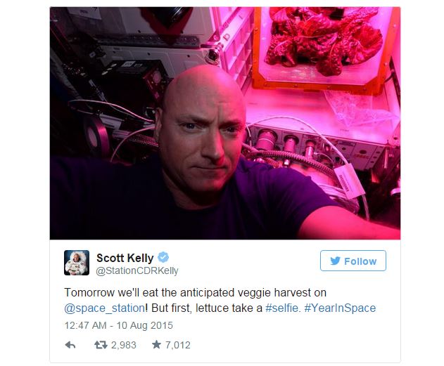 NASA space grown lettuce