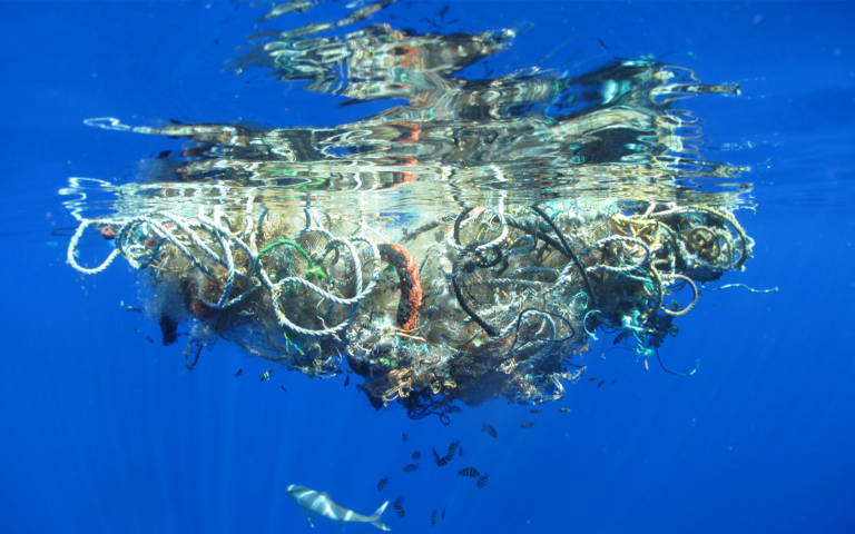 Throwaway plastics and ignorance are killing our oceans