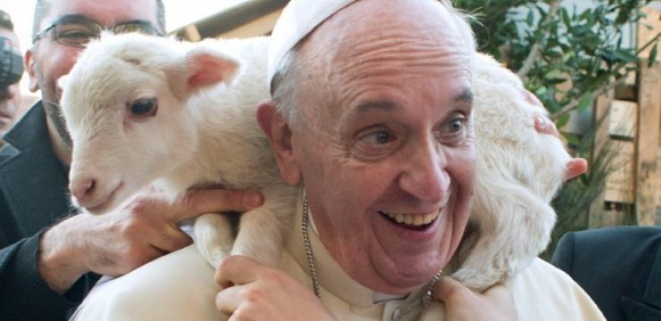 Pope-Francis-environmental-steward-660x3301.jpg