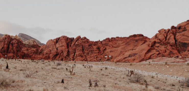 Red-Rock-Canyon-National-Conservation-Area-Las-Vegas-United-States-scaled.jpg