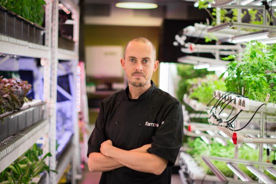 rob_laing_hydroponic_garden_8-4-16-7-550x367