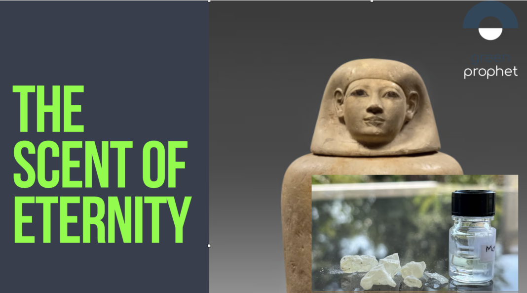 Why do mummies smell so sweet?