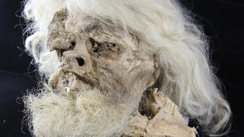 The incredible shrunken salt head mummy men
