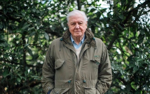 Caption:  Sir David Attenborough  Credit:  BBC/Polly Alderton