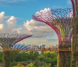 Luxury five-star hotels in Singapore for Vacations and Meetings