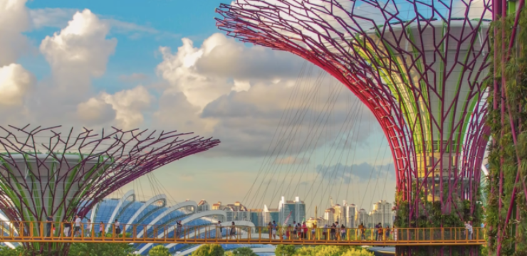 Super-Tree-Grove-at-Gardens-by-the-Bay.png