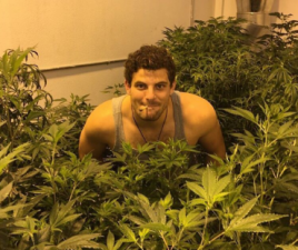 Jordanian-born chef cooks with cannabis