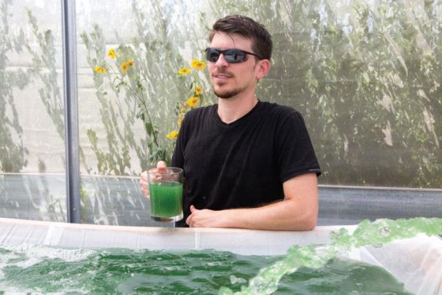 Tom Vered spirulina DIY machine