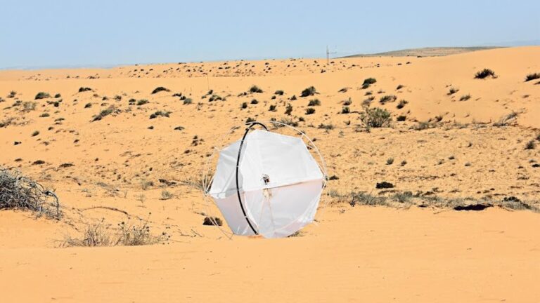 Wind-powered Tumbleweed robot rolls back encroaching deserts