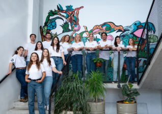 Meala FoodTech and dsm-firmenich Launch Vertis PB Pea, A Plant-Based Meat Alternative