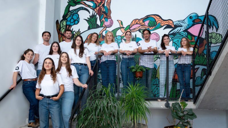 Meala FoodTech and dsm-firmenich Launch Vertis PB Pea, A Plant-Based Meat Alternative