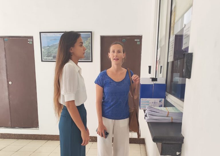 Seychelles activists sue government for Qatari development on turtle nesting sites