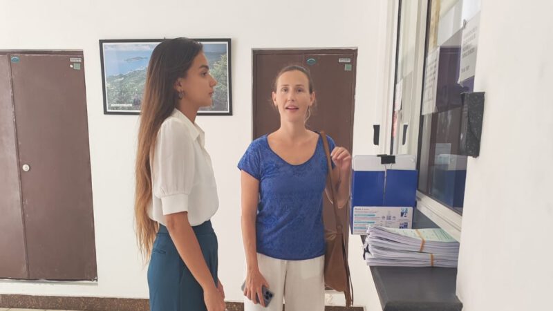 Seychelles activists sue government for Qatari development on turtle nesting sites