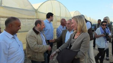 Jordan hydroponics supported by USAID