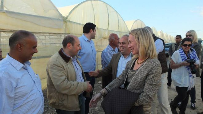 Visit to an hydroponic bell pepper farm
