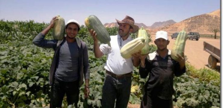 Wadi-Rum-farmers-with-squash.jpg