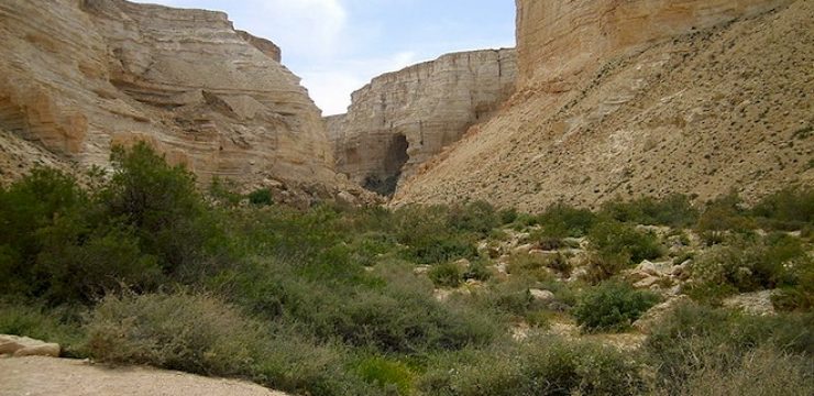 Wadi_Zin_Ein_Avdat200704.jpg