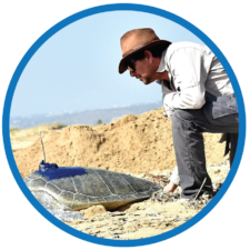 Yaniv Levy’s Lifelong Quest to Protect Sea Turtles in a Time of War and Greed