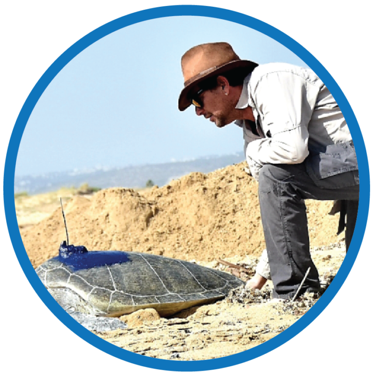 Yaniv Levy’s Lifelong Quest to Protect Sea Turtles in a Time of War and Greed