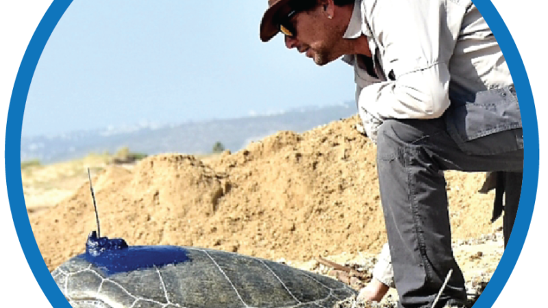 Yaniv Levy’s Lifelong Quest to Protect Sea Turtles in a Time of War and Greed