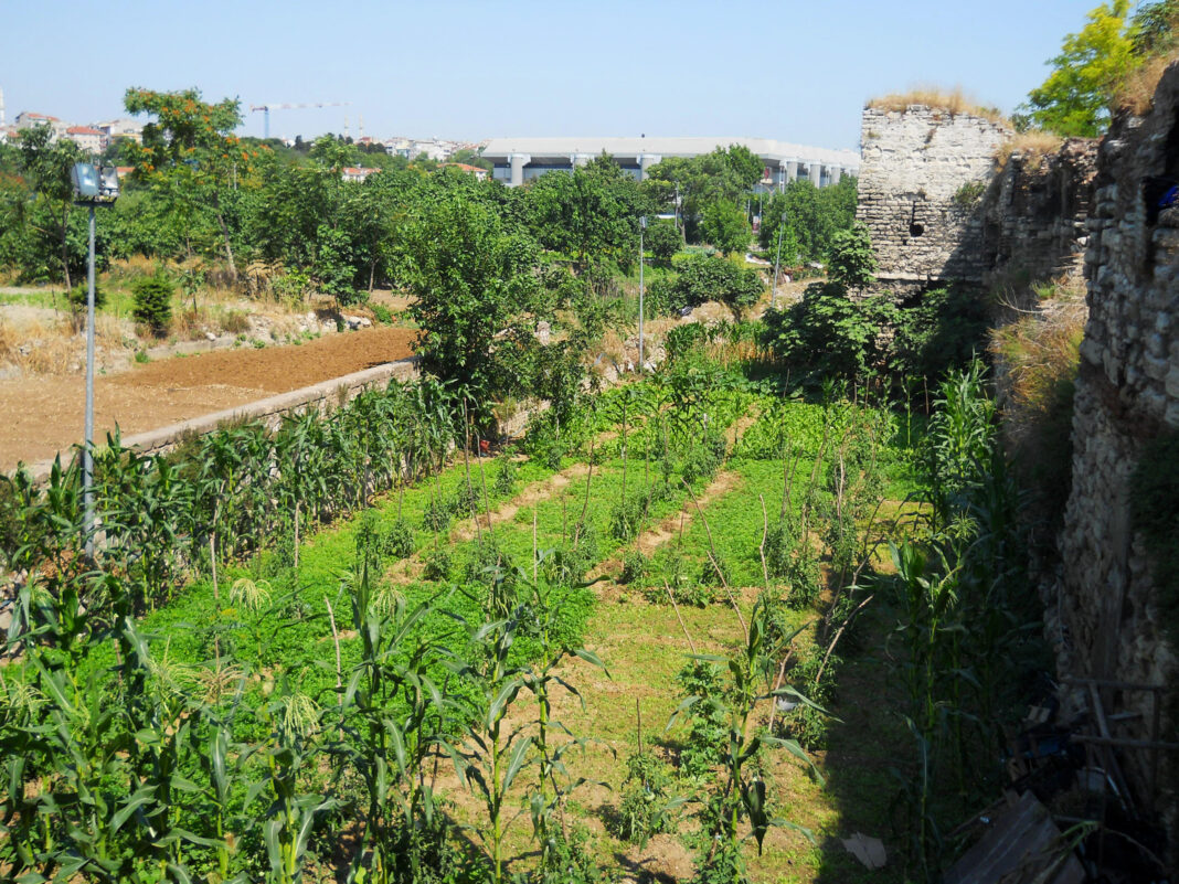 Ancient urban gardens in Istanbul threatened to be wiped out