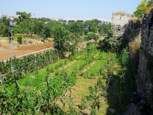 Ancient urban gardens in Istanbul threatened to be wiped out