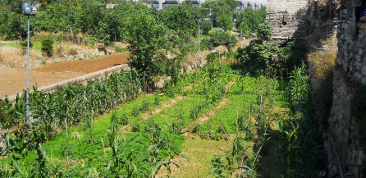 Yedikule-garden-plots.jpg
