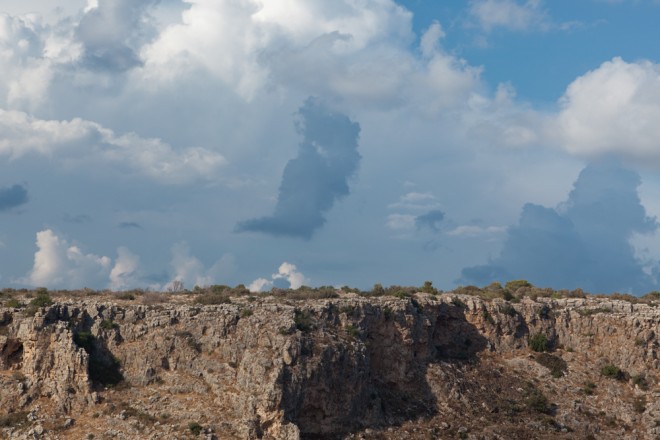 Yoni Passy - יוני פזי