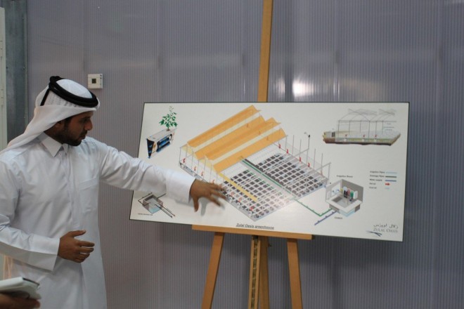 qatar hydroponics