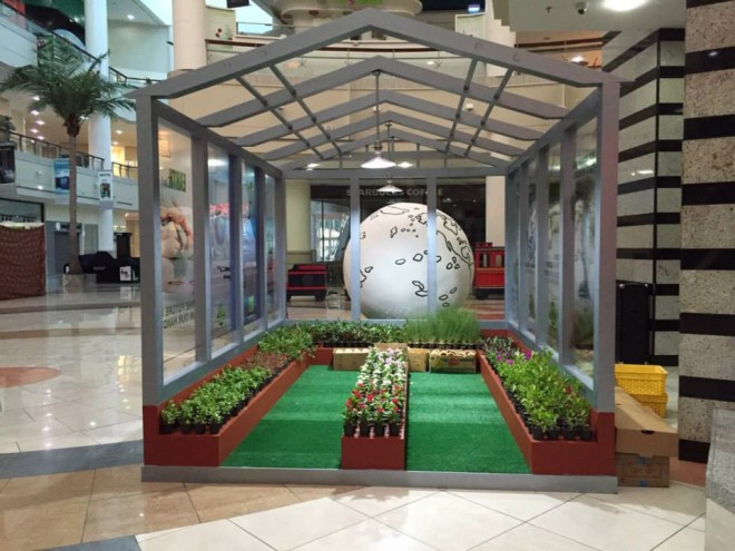 Green house at Al Wahda Mall