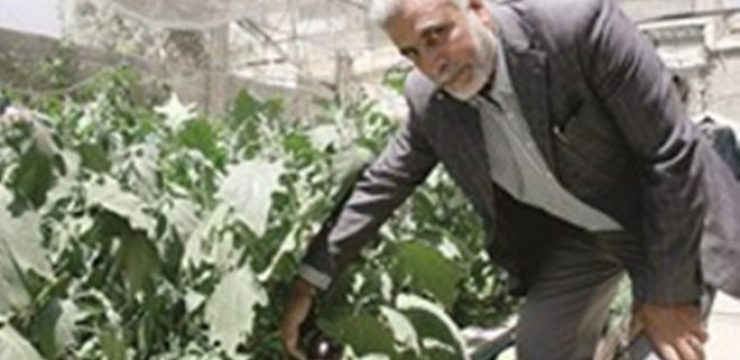 abu-nasser-gazan-farmer.jpg