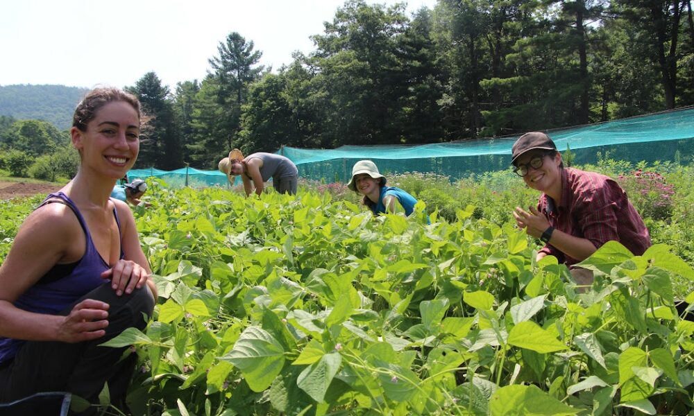 Adamah people on the farm