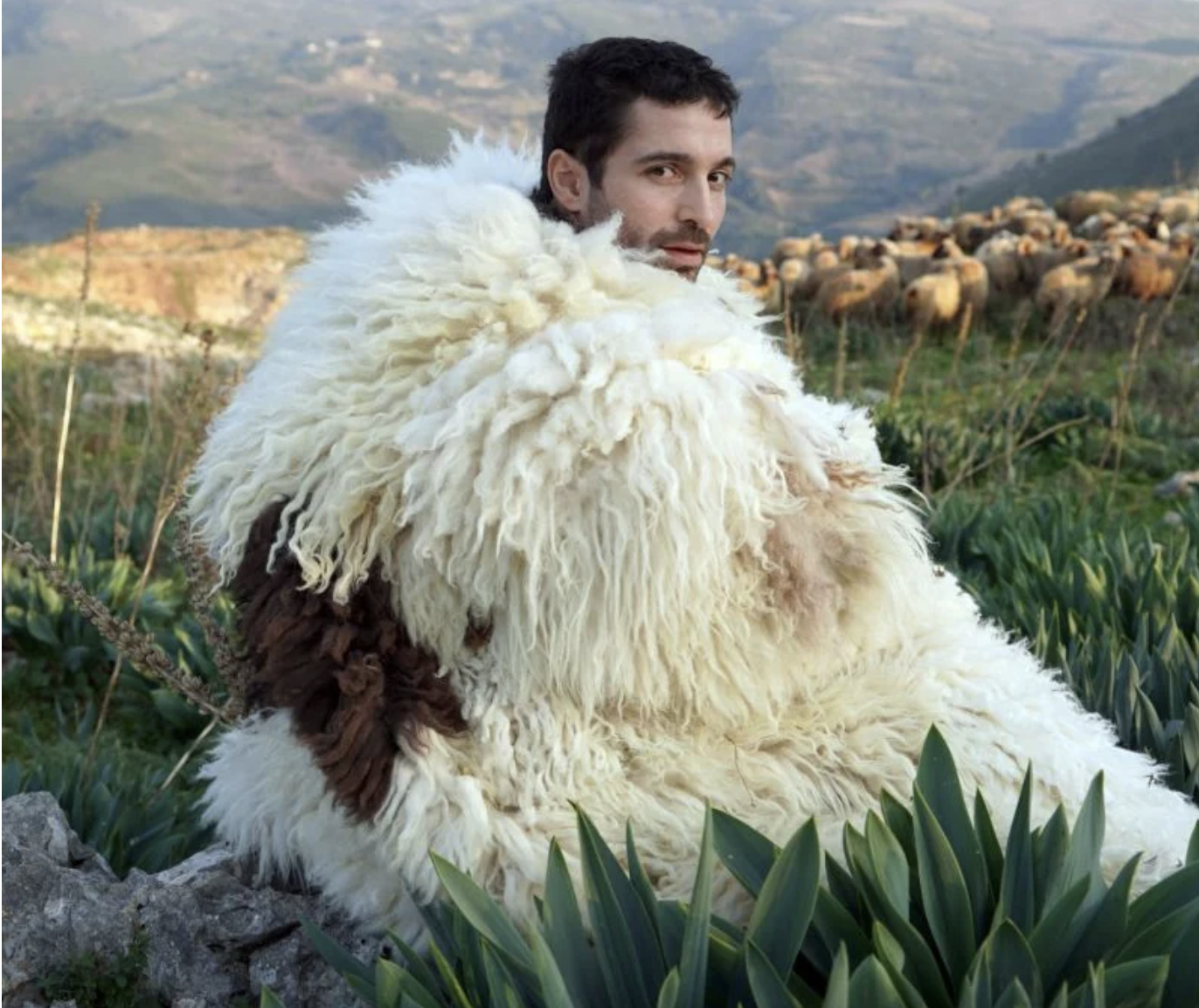 Adrian Pepe wearing sheep wool