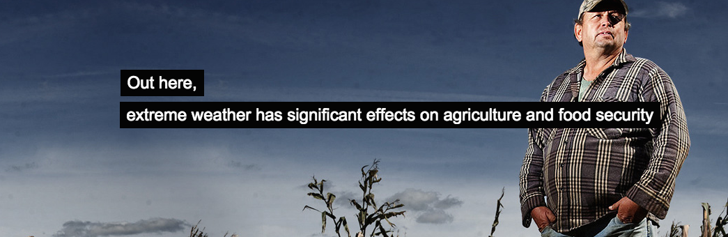 agrown-CEA-hydroponics