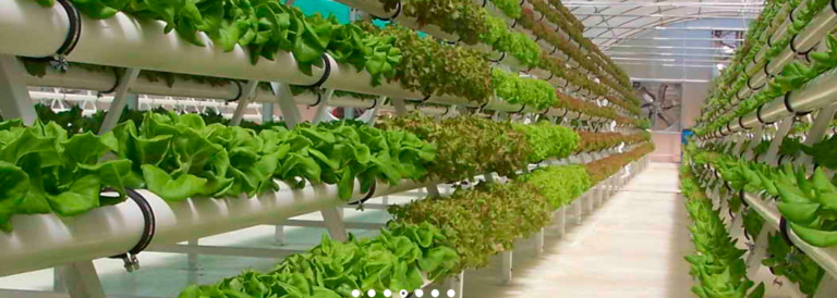 Vermont’s tech park and the future of your food