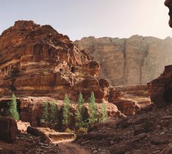 Learning the art of ancient irrigation the Nabatean way