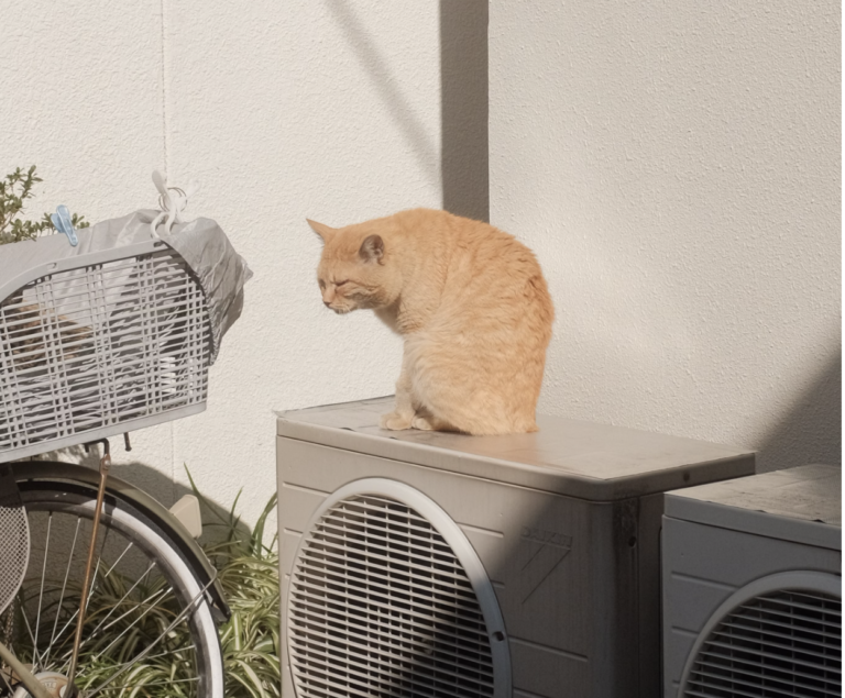 Why Your AC Might Be Struggling—And What You Can Do About It