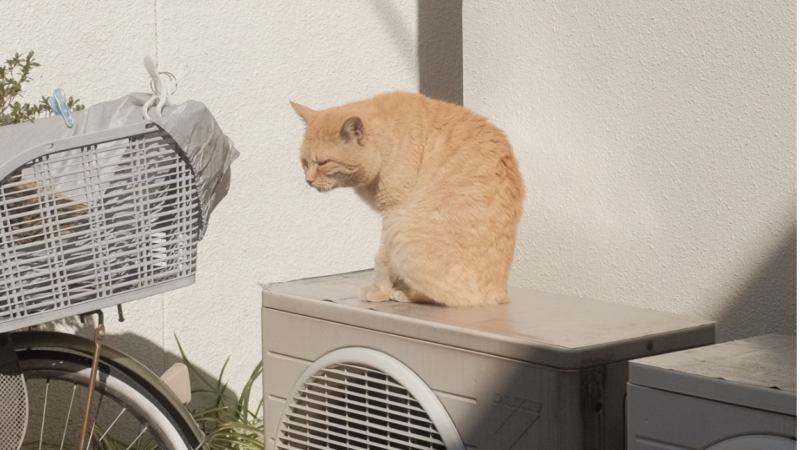 Why Your AC Might Be Struggling—And What You Can Do About It