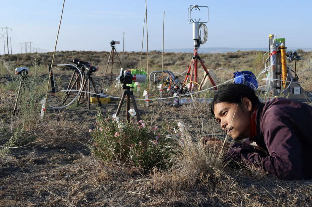 Pollinators turned off by air pollution