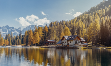 Net Zero by 2050 a pipe dream with current tech advances and population growth