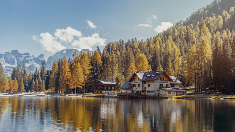 Net Zero by 2050 a pipe dream with current tech advances and population growth